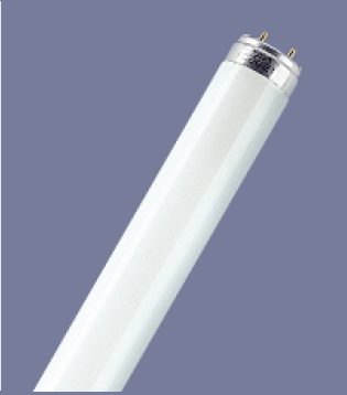 Лампа люминесцентная T8 - OSRAM L 16W/640 25X1 4050300018225 фото