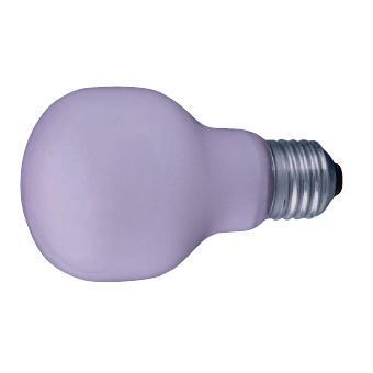 Лампа накаливания стандартная - GE 40A1/SL-ENRICH/B22 91755 фото